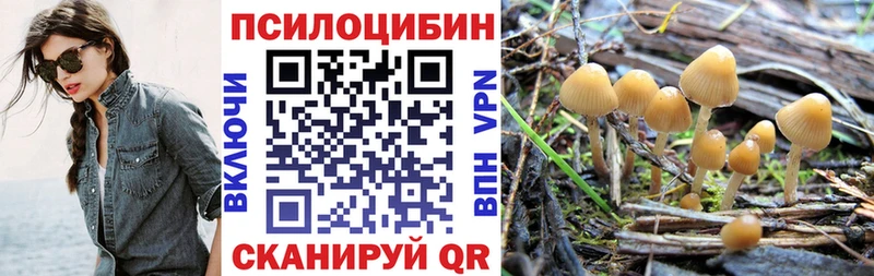 Галлюциногенные грибы прущие грибы  Абдулино 